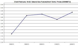 Natural Gas price  chart -  February 18-22  2013